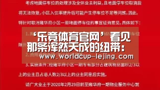 乐竟体育官网