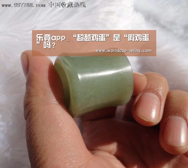 乐竟体育app